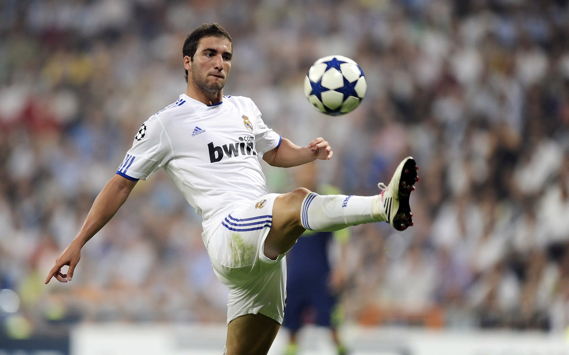 张伟丽拳击课程上线引热购潮，张伟丽简历拳击格斗运动员