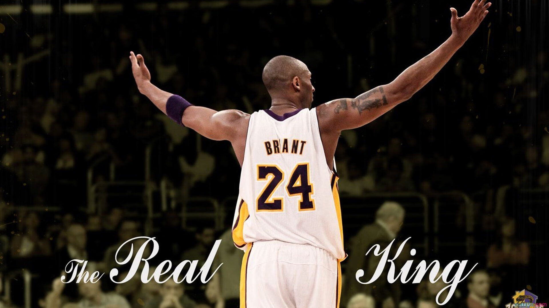 拜仁青年军表现亮眼未来可期，拜仁青训续约