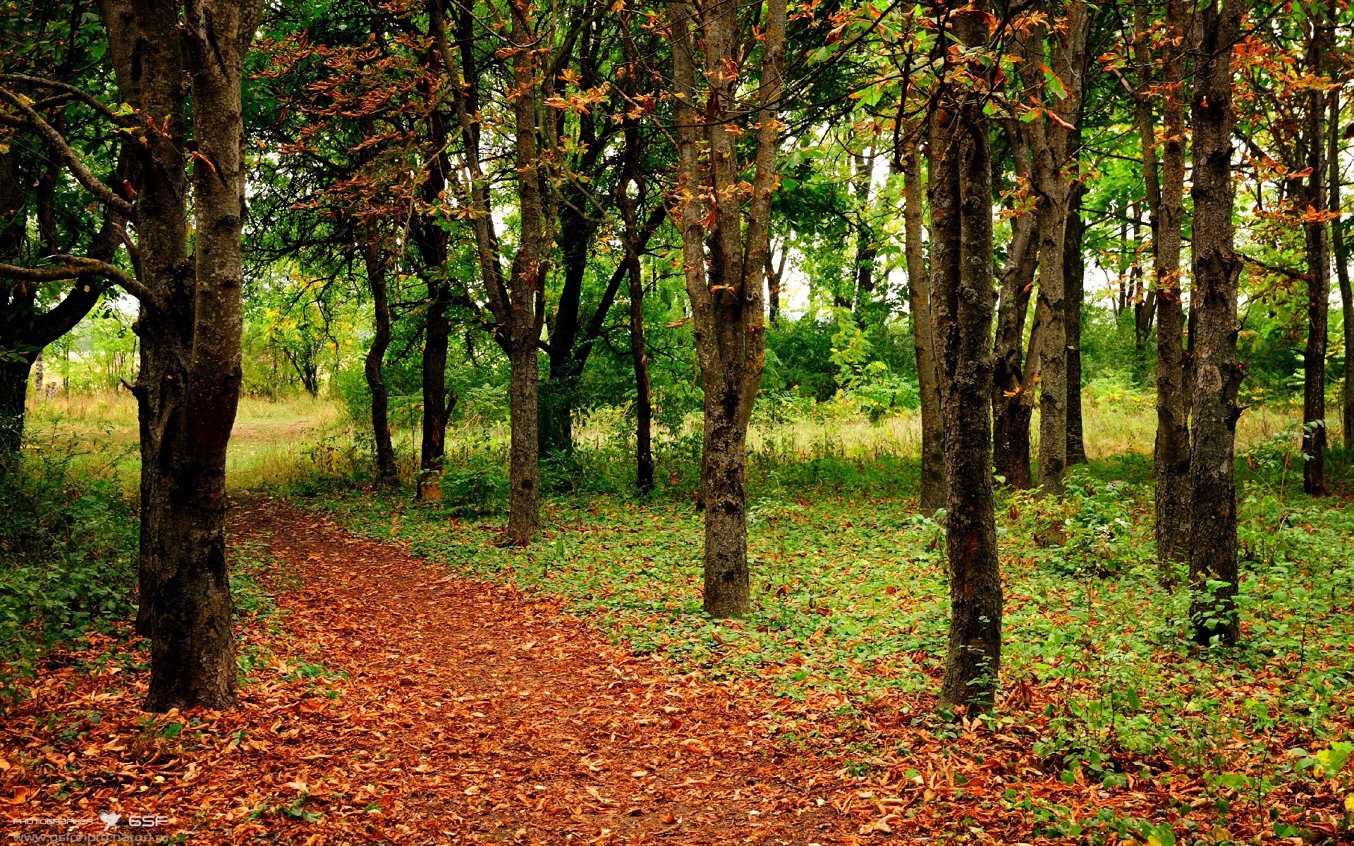 爱游戏登录-《每日镜报》：巴西女足在奥运会小组赛中表现出色，巴西女足奥运会阵容