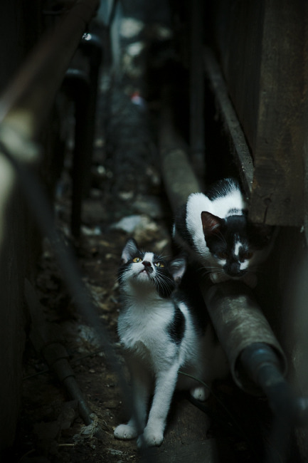 爱游戏官网-【比赛录像】丁俊晖的经典逆袭瞬间分析，丁俊晖精彩