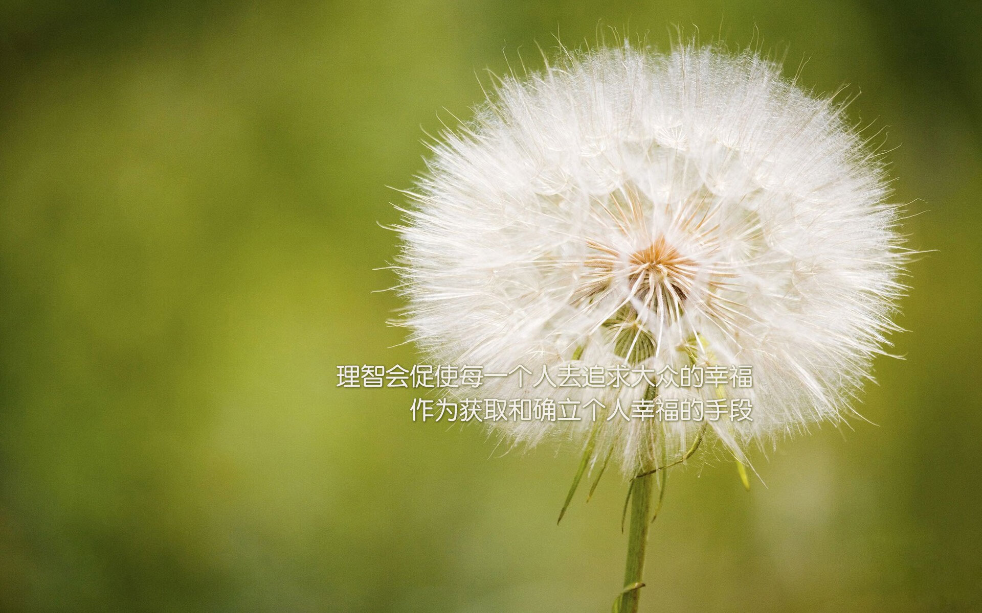 爱游戏大厅-【运动员心态调节】如何化解比赛中的紧张和犯规带来的压力？，运动员比赛前如何调整心态