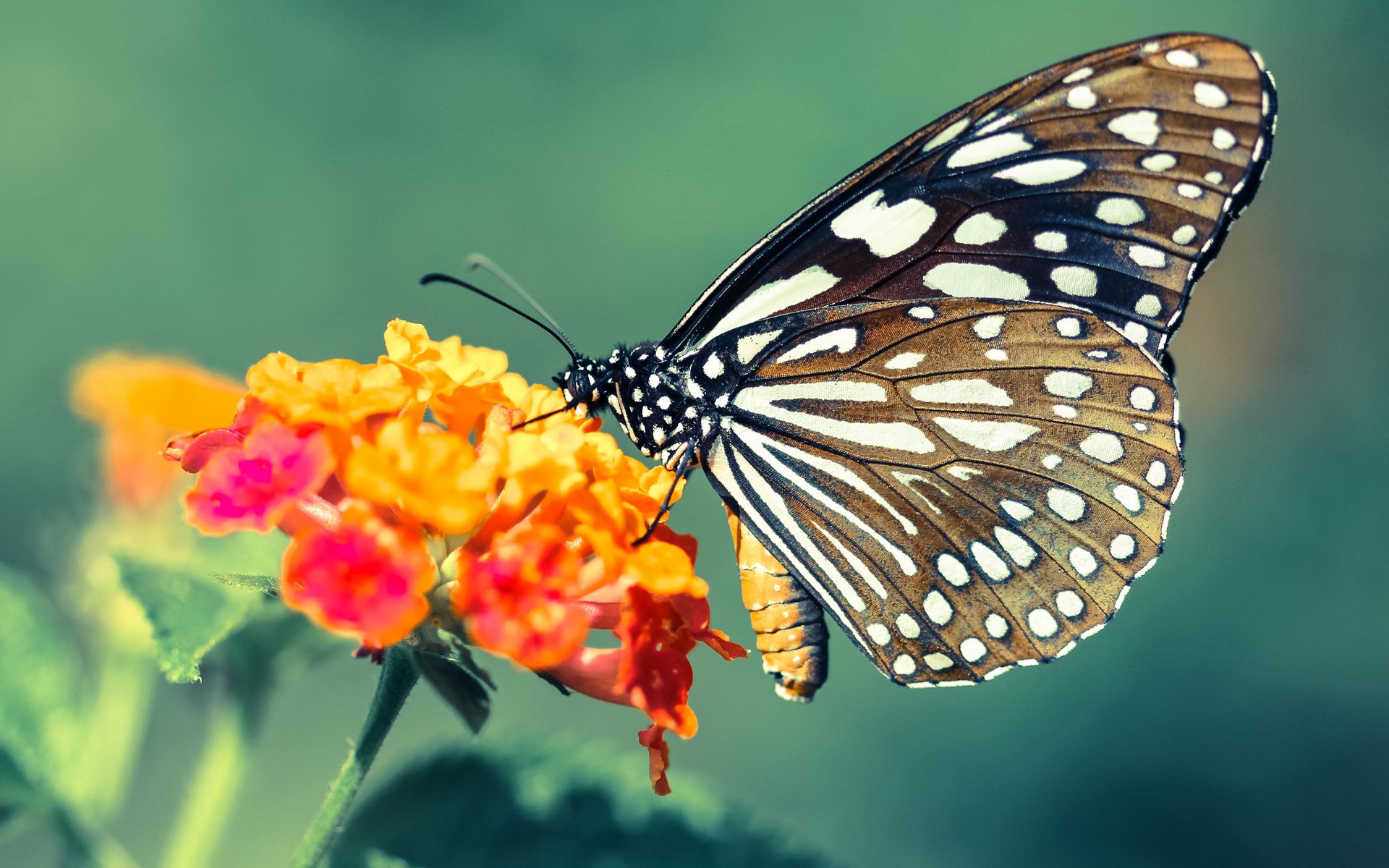 爱游戏官方-影响深远的比赛瞬间：运动员所创造的历史纪录，记录运动员的成绩